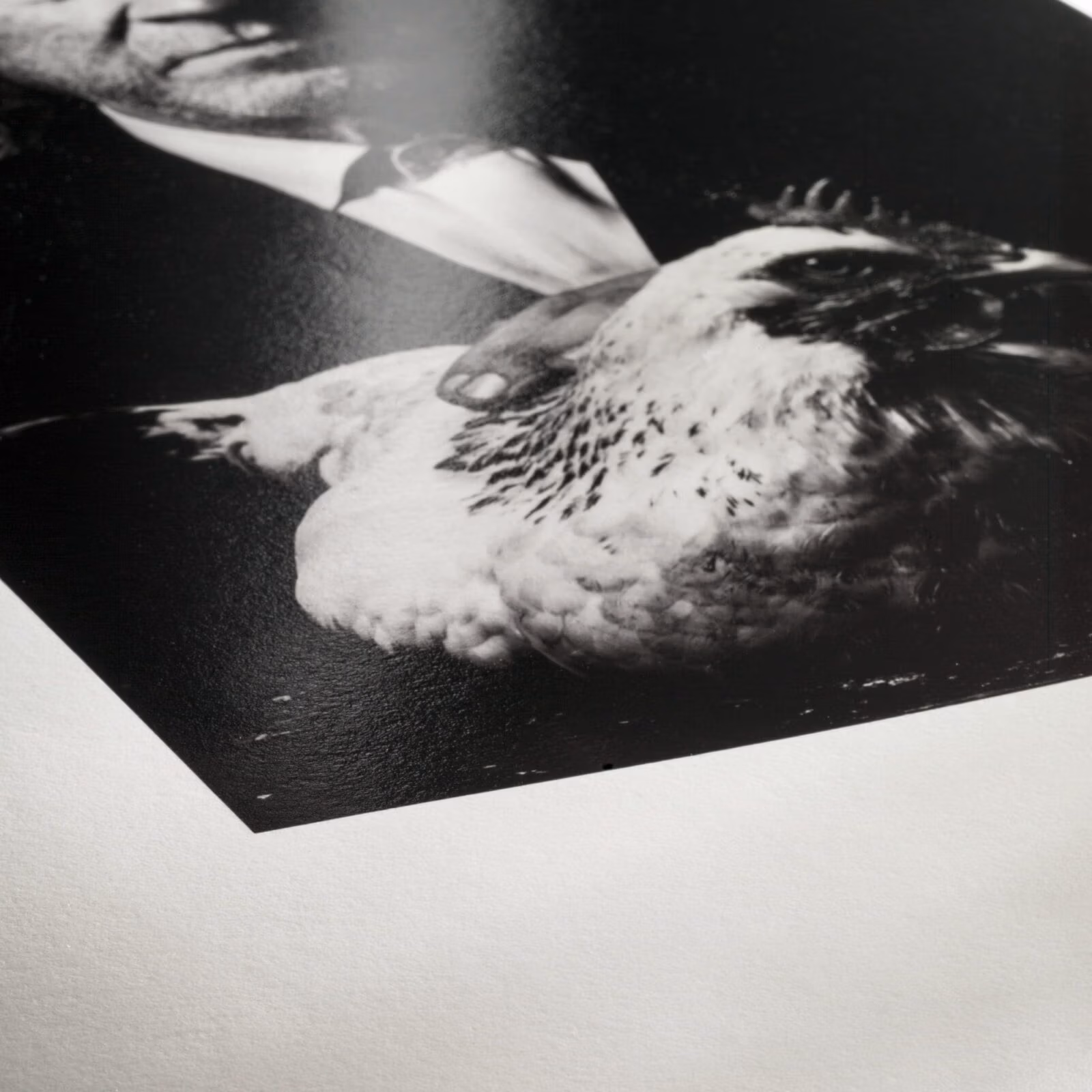 exemplo de superfície do papel para impressão Photo Rag Baryta